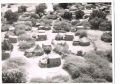 1986 r.Sudan, wieś sudańska z lotu ptaka,fotografował pilot Z.Góra