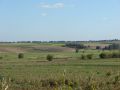 2010 r. wrzesień. Krzczonowice- Świni Dół. Widok ogólny na stanowisko archeologiczne od strony zachodniej( między zaoranym polem a przed zaroślami widoczne kopce ziemi). Fot. Artur Jedynak 09/2010 r.