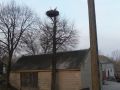 Adres zamieszkania Boćków -- Krzczonowice 92  Fot. Marcin Krzysiek 5.04.2009