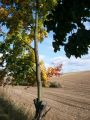 Jesienne pejzaże na trasie Krzczonowice - Ćmielów . Zdj Hani Dobrowolskiej 9.10.2009 r.