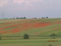 15.06.2016 r. Krzczonowice - współczesny krajobraz Krzczonowskiej Ziemi z widokiem na Zaolzie i Seweryn.