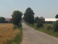 dojeżdżamy  już do Krzczonowic szeroką drogą  -08/2008