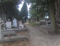 Cmentarz parafialny w Ćmielowie - alejka 08/2008 fot. Jacek Granat