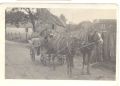1956 r.( ok.) Krzczonowice - Dół. Na bryczce siedzą, od lewej - Józef Łukasik, NN, NN, Michał Rużalski. Bryczka i para koni to własność Pana Jana Stana. Zdj. nadesłała Maria Granat z d. Stan 4.11.2010 r.