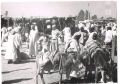 1979 r.Sudan,baza Senar.Z.Góra na zakupach na targowisku(Suhu).