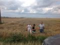 Krzczonowice 7.08.2015 r. Łan dorodnej pszenicy u włościanina Andrzeja Granata na Sewerynie.Na zdj. z wnuczkami Kasią i Wiktorem. zdj. Jacek Granat 7.08.2015 r.